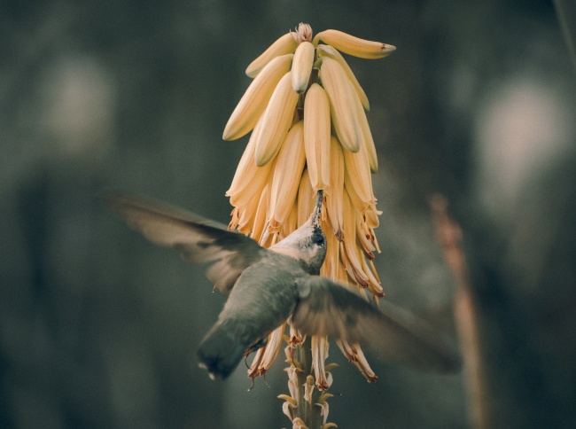 foto:Ximena Gómez Rodríguez  - lo hecho en México