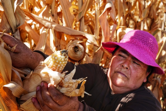 Ortega Medrano | #mexicoenunaimagen Ortega Medrano
