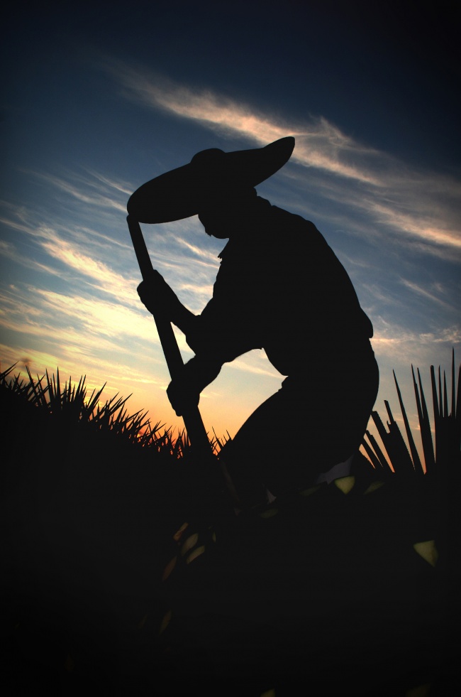 Claudio Enrique Jimeno  Arce 