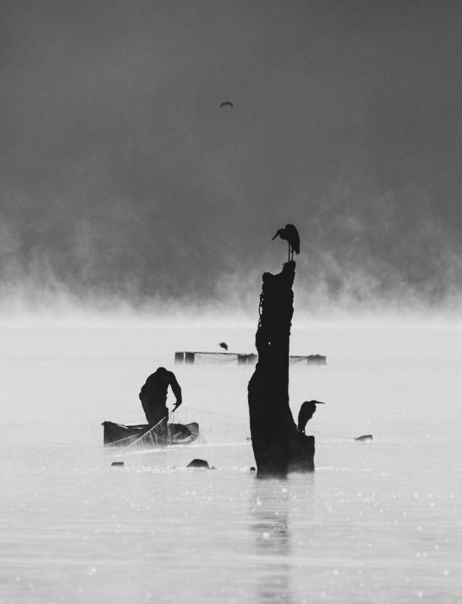 foto:Jorge Javier Barrera Navarro - lo hecho en México