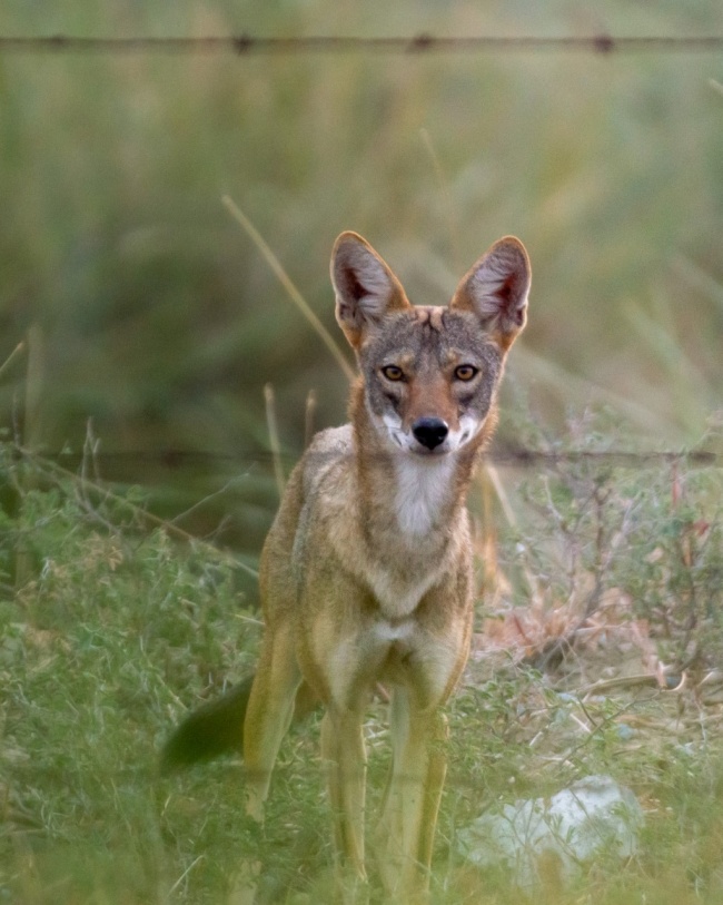 foto:Nadia Briseida Lozano González - lo hecho en México