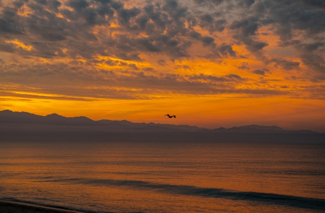 foto:Eduardo Amaya Rivera - lo hecho en México