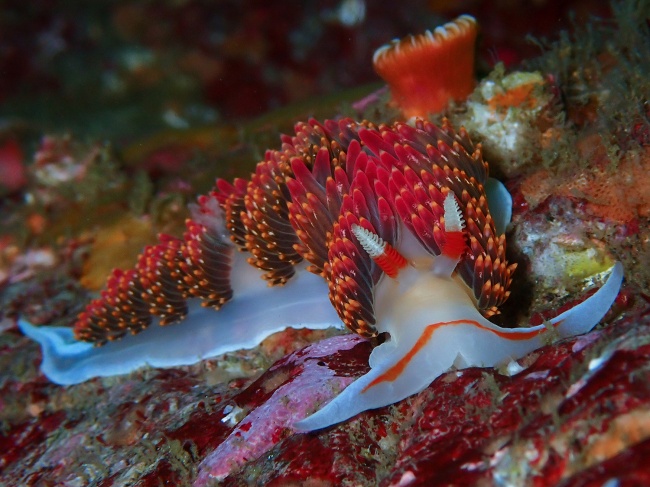 foto:María Luisa Gutiérrez Hernández - lo hecho en México