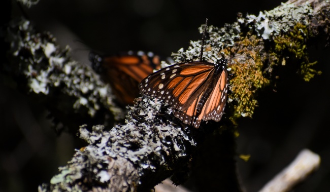 foto:Lorena - lo hecho en México