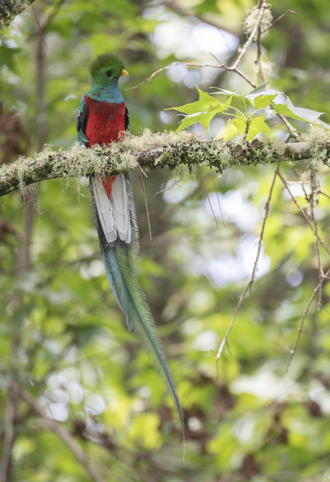 foto:Augusto Sergio Zapata Domínguez - lo hecho en México