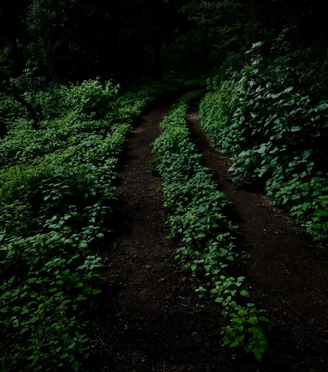 foto:rené garcía  - lo hecho en México