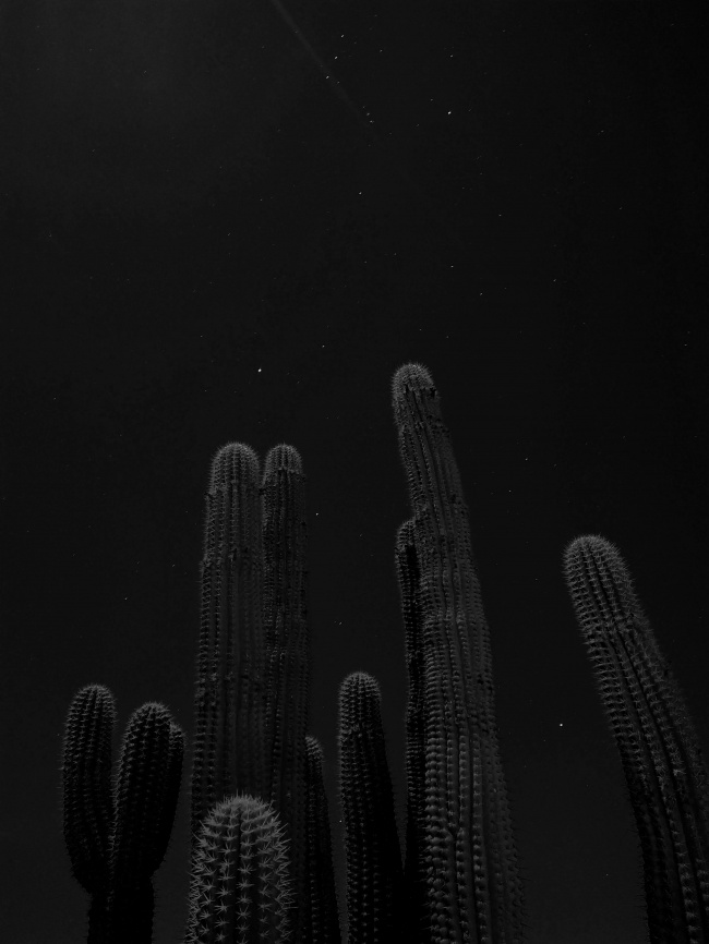 foto:José Antonio Osorio Cruz - lo hecho en México