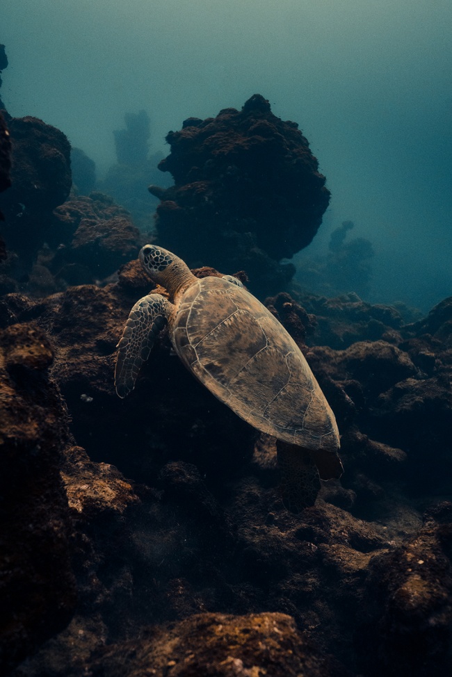 foto:Alejandro Morales Gomez - lo hecho en México