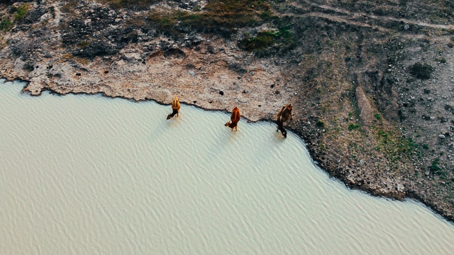 foto:Daniel Sandria - lo hecho en México