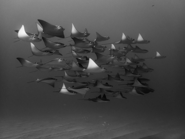foto:José Antonio Romero Guillot - lo hecho en México