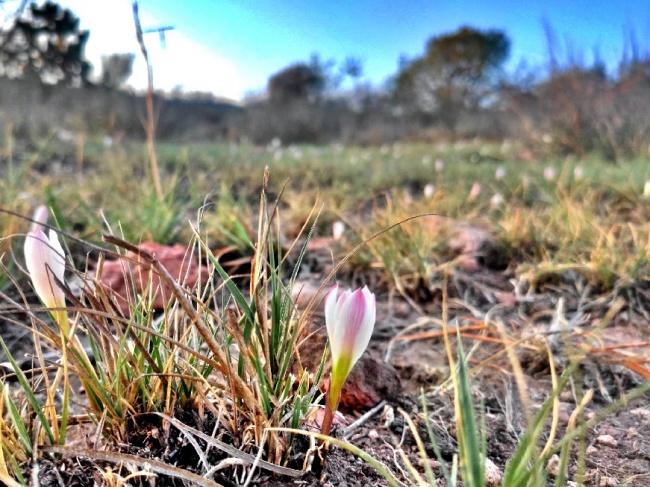 foto:Fernando Díaz Jiménez  - lo hecho en México
