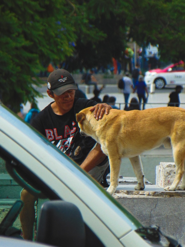 foto:Diego Abraham Bermudez Hernandez - lo hecho en México