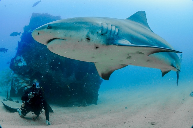 foto:Juan Antonio Murillo Covarrubias  - lo hecho en México