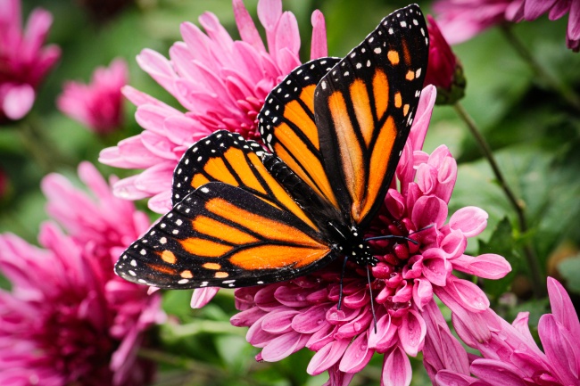 foto:Karla Jazmín Gómez Téllez  - lo hecho en México