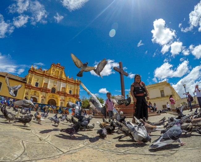 foto:Armas flores Alexis Denisse  - lo hecho en México