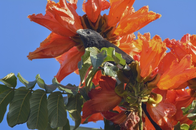 foto:Xóchitl Mariana Hernández Fuentes - lo hecho en México