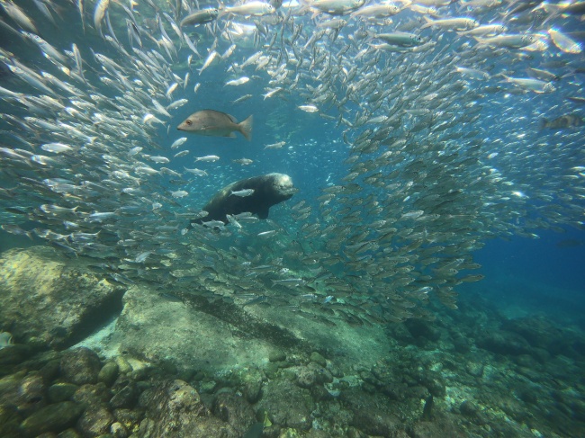 foto:Jesús isabel castillo - lo hecho en México