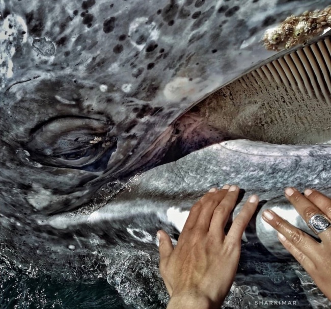 foto:Marielle Jacome Robles - lo hecho en México