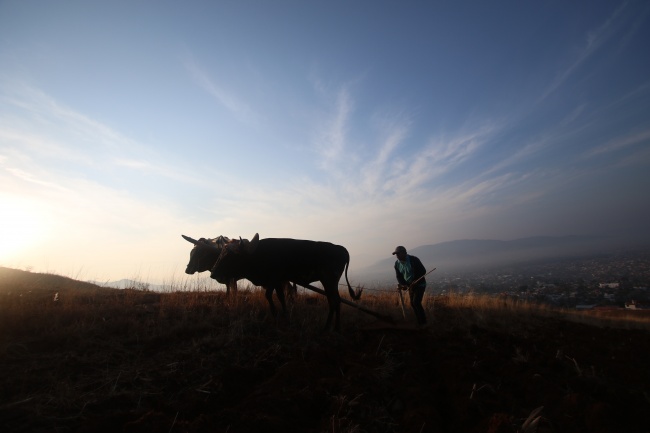 foto:MISAEL SALVADOR NOGALES GALINDO - lo hecho en México