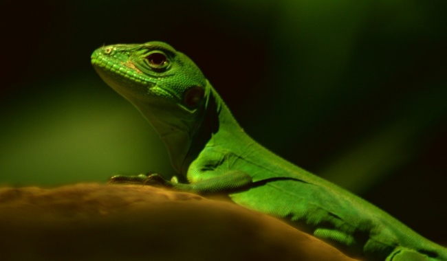 foto:Juan Emmanuel Ramírez Flores  - lo hecho en México