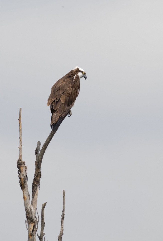 foto:Hilda María Guerrero Casillas  - lo hecho en México