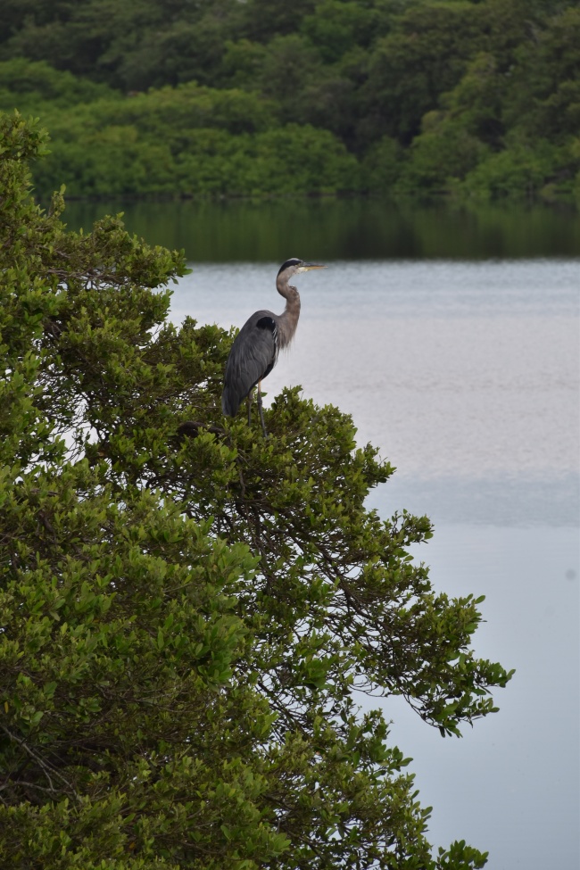 foto:Laura Fernandez Bernal - lo hecho en México