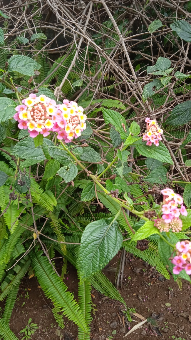 foto:Maria Fernanda García Mora - lo hecho en México