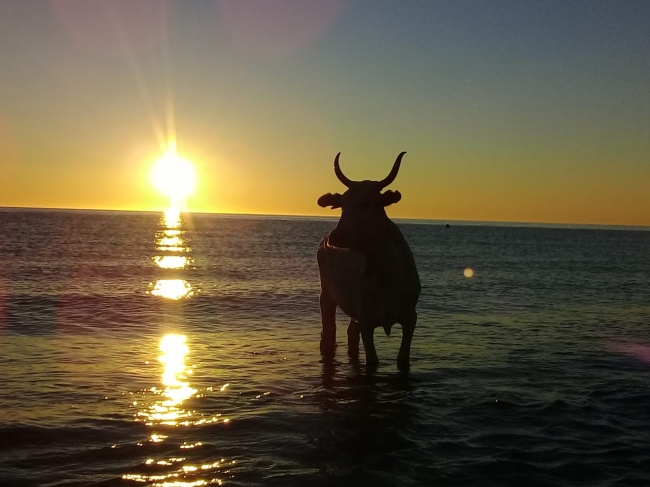 foto:RAMON EDUARDO RODRIGUEZ SANCHEZ - lo hecho en México