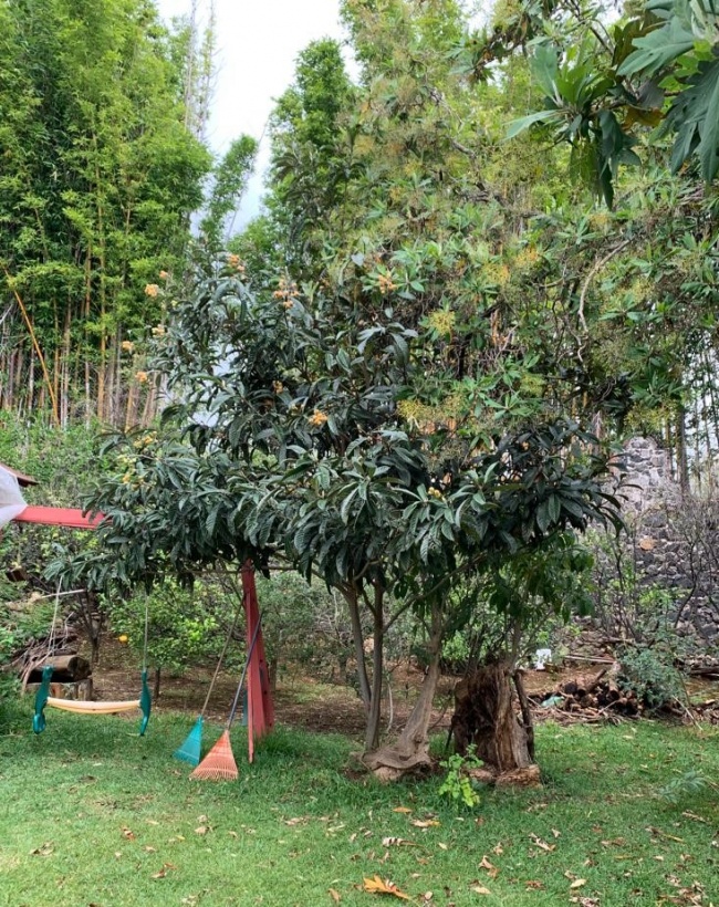 foto:José Juan Maldonado  López - lo hecho en México