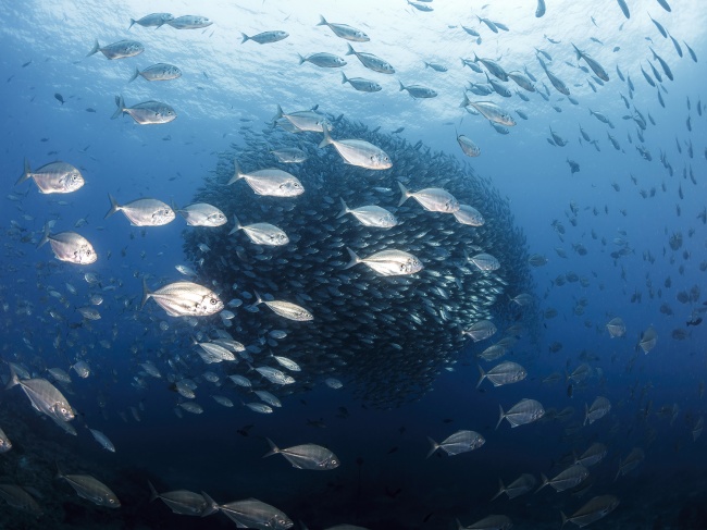foto:Paola Ruffo Ruffo - lo hecho en México