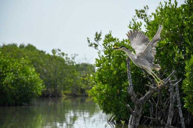 foto:René Villanueva González - lo hecho en México
