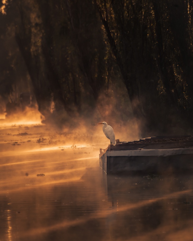 foto:Briseyda famitsai Tamayo Cabello  - lo hecho en México