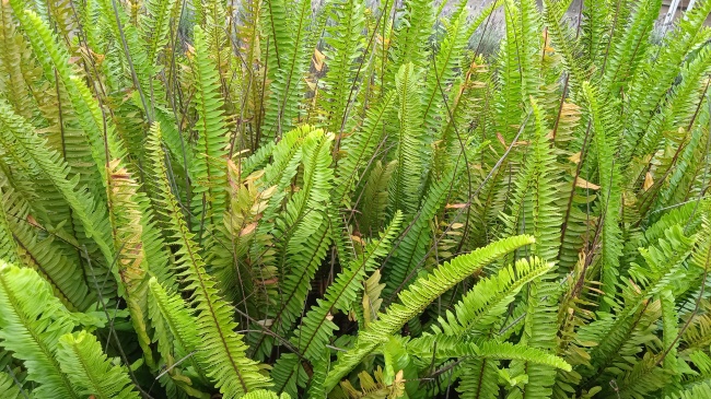 foto:Jaquelin Mendez Gómez - lo hecho en México