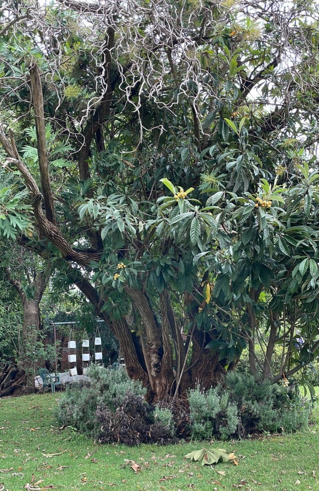 foto:jorge Alberto Dorantes - lo hecho en México