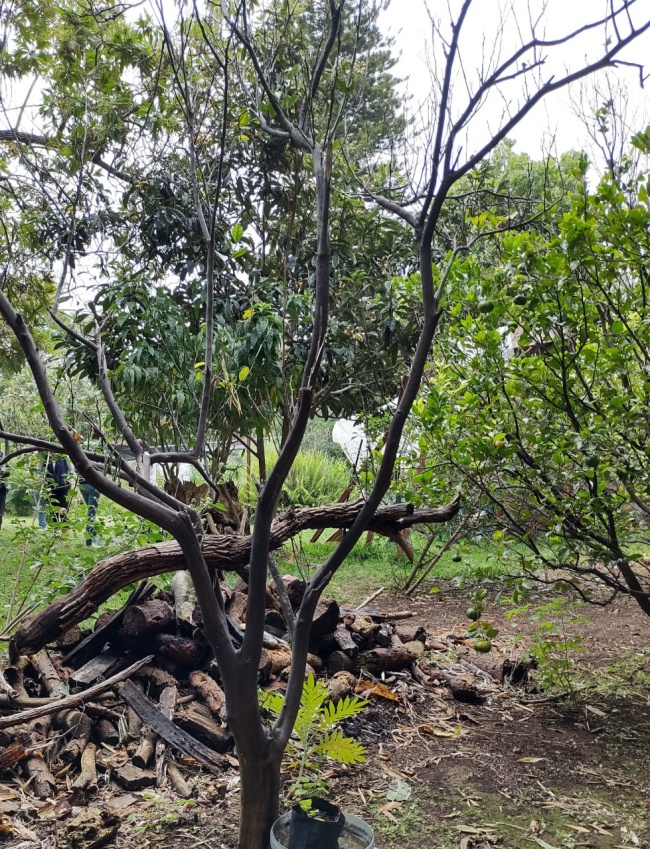 foto:Yael Maximiliano López Díaz - lo hecho en México