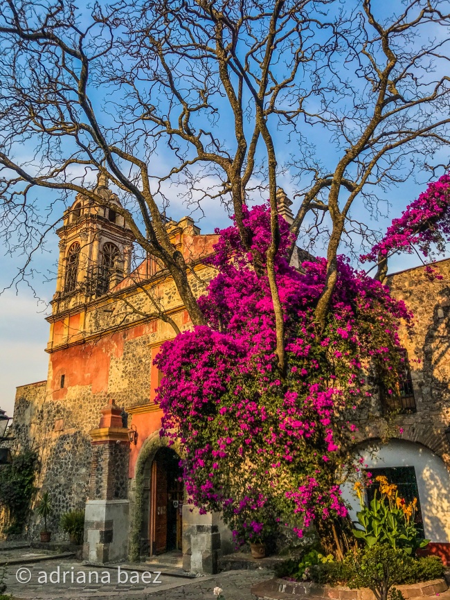 foto:Adriana Báez Aguila  - lo hecho en México