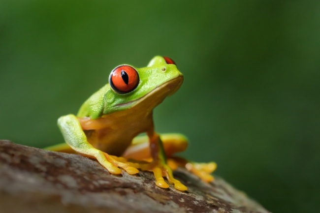 foto:Maria Elena Muñoz - lo hecho en México