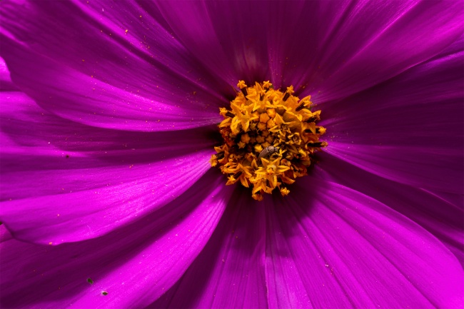 foto:Humberto Jared lacayo Ramirez - lo hecho en México