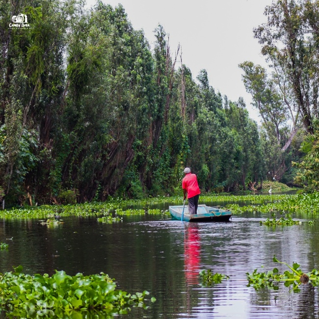 foto:Carlos Avila Aguilar  - lo hecho en México