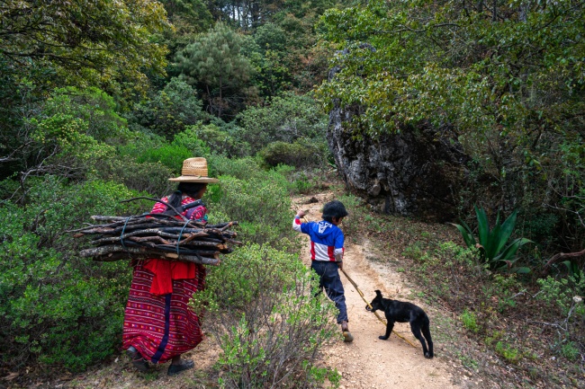 foto:LUIS MIGUEL HERNANDEZ VASQUEZ - lo hecho en México
