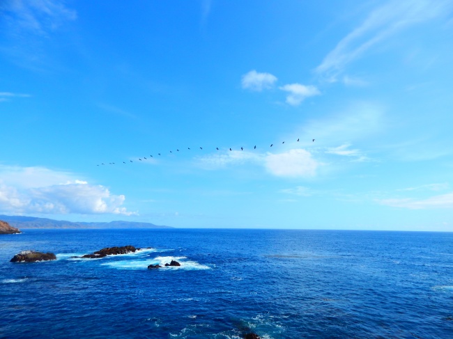 foto:Adrian Armando Lechuga Andrade - lo hecho en México