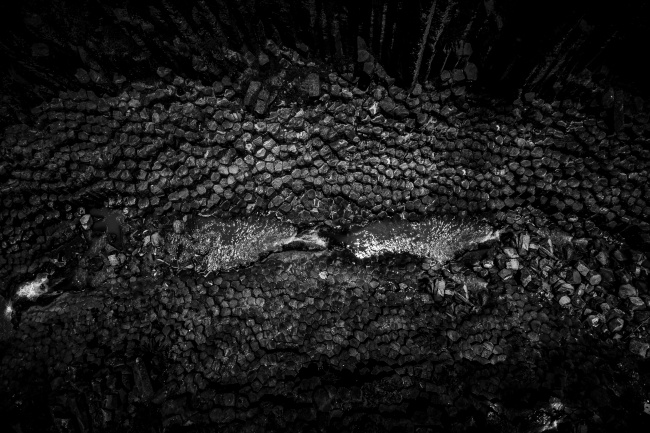 foto:Abel Sebastián Cipriano García - lo hecho en México