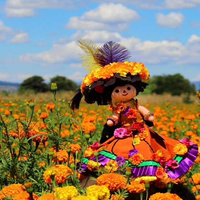 foto:Paulina Esmeralda Hernández Mora - lo hecho en México