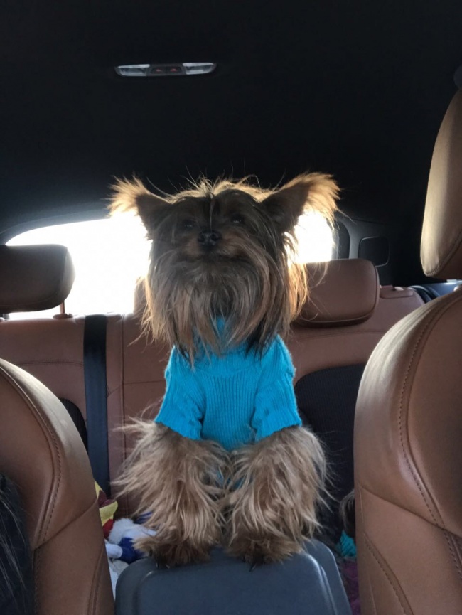 foto:Silvia Elias - lo hecho en México