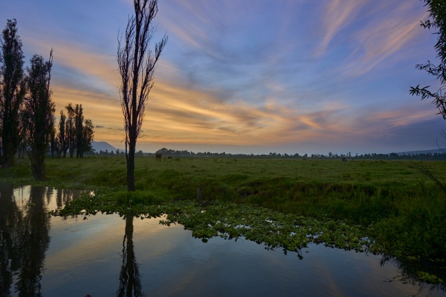foto:Carlos Alfredo Barajas Cruz - lo hecho en México