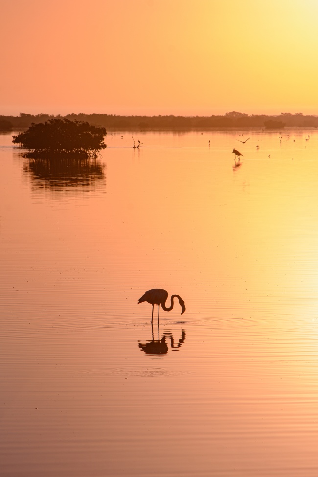 foto:YAVNE IVAN TAPIA ARROYO - lo hecho en México