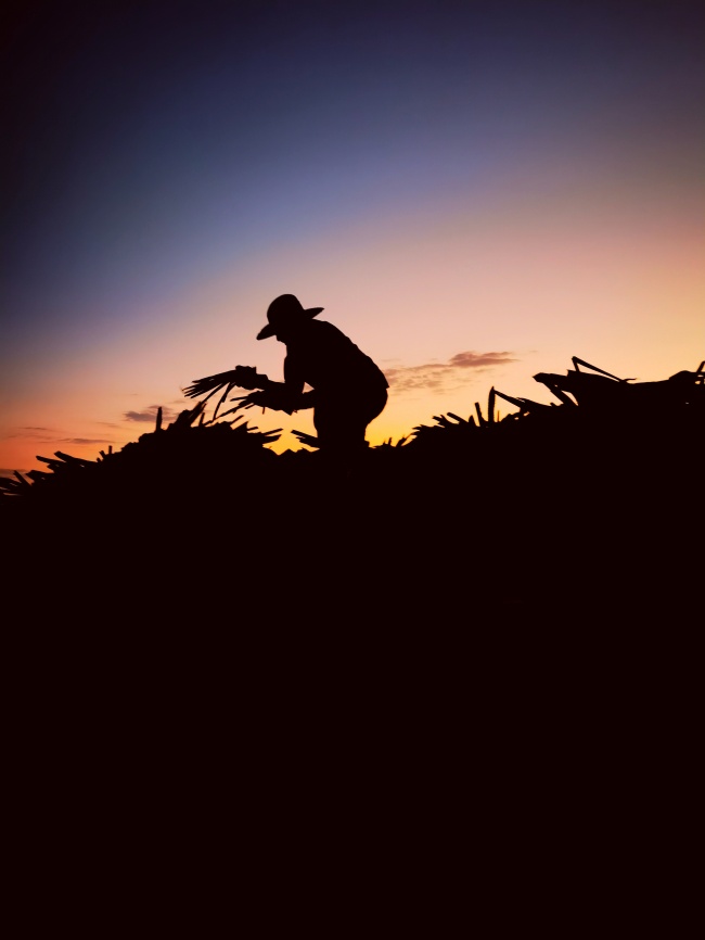 foto:Gerardo Villaseñor - lo hecho en México