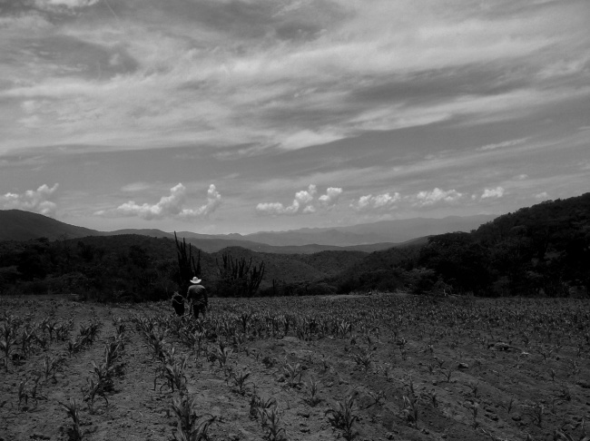 foto:Sergio Antonio Juárez Padrón - lo hecho en México