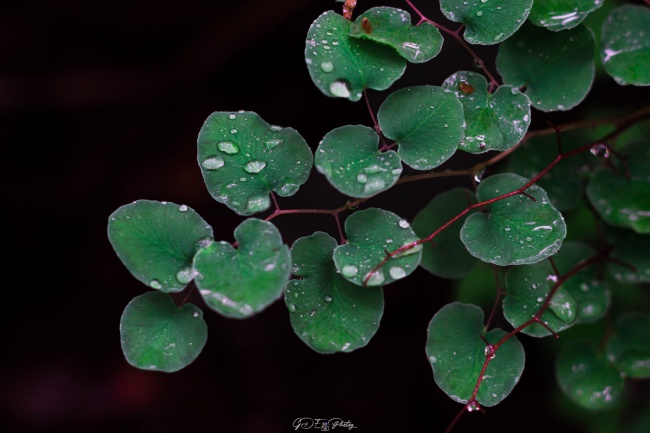 foto:Giovanni Hernandez Angeles - lo hecho en México