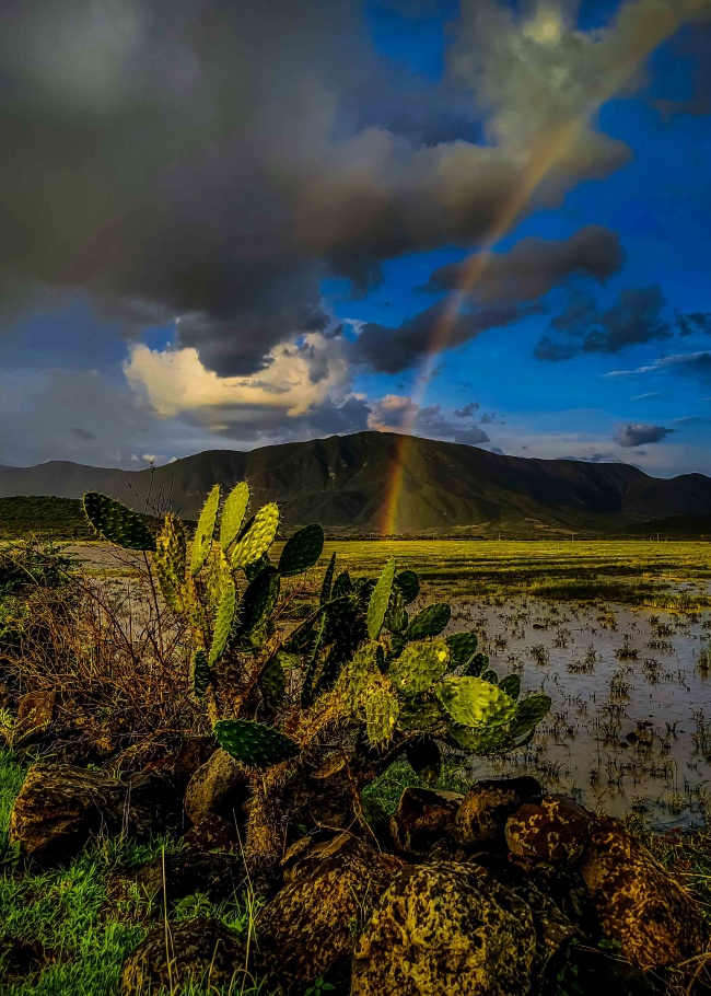 foto:Pedro Madrigal González - lo hecho en México
